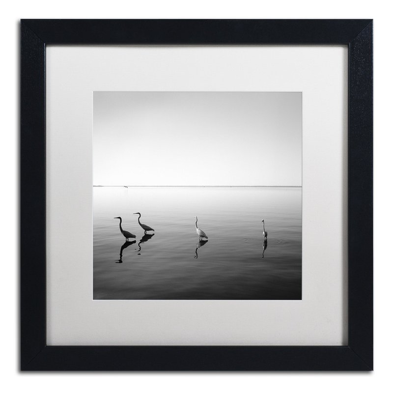 Trademark Fine Art 4 Herons by Moises Levy in White Matte and Black Framed Artwork, 16 by 16"