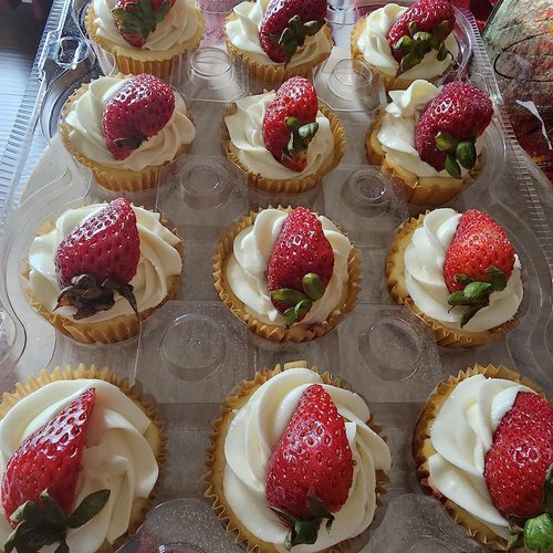 HOIGON 20 Pack Clear Cupcake Containers 12 Count, Plastic Dozen Cupcake Boxes with Dome Lid, Disposable Cupcake Carrier Holders for Display and Transport