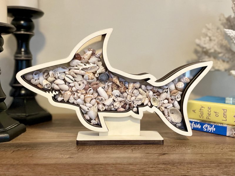 Shark Tooth Display Case XL 14” – Megalodon-Shaped Shark Teeth Holder for Collectors – Wooden Display for Fossilized Shark Teeth – Shark Tooth Holder Coastal Décor by Fossil King