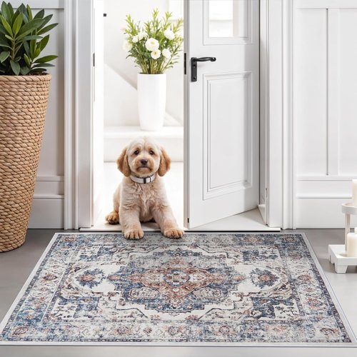 Hallway Washable Runner Rug - Vintage Soft Non-Slip Indoor Carpet for Entryway | 2x3 Brick