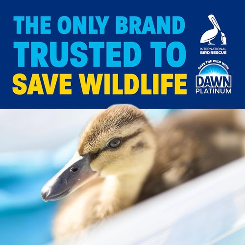 Dawn Platinum Dish Soap - EZ-Squeeze Liquid for Effortless Cleaning | Fresh Rain, 2x18oz Bundle