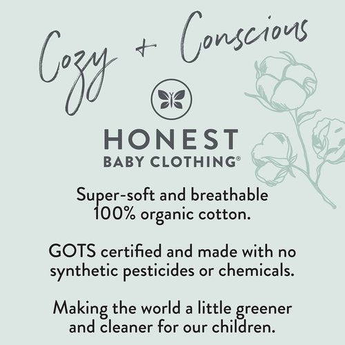 HonestBaby Reversible Baby Blanket