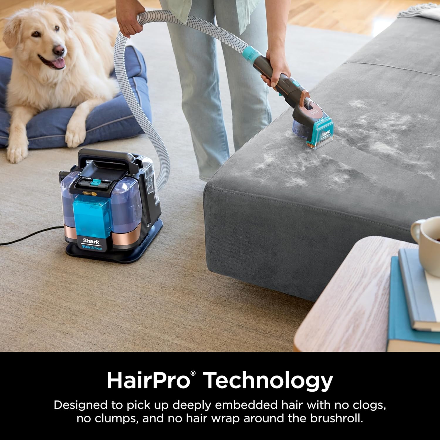 Shark StainStriker HairPro Portable Carpet Cleaner - Self-Cleaning with Pet Hair Tools & Solution | Copper, 4 Tools
