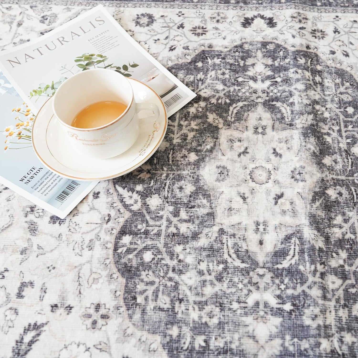Regine Switzerland Washable 2x3 Entryway Rug - Vintage Soft Thin Non-Slip Mat | Water-Resistant Grey Carpet