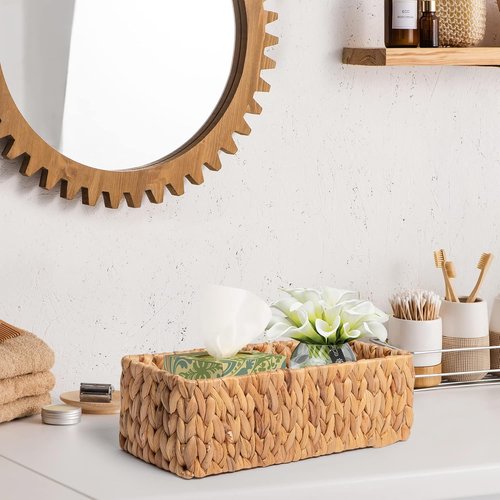 JS HANGER Round Paper Rope Storage Basket - Decorative Wicker Baskets for Organizing | 2 Pack Water Hyacinth