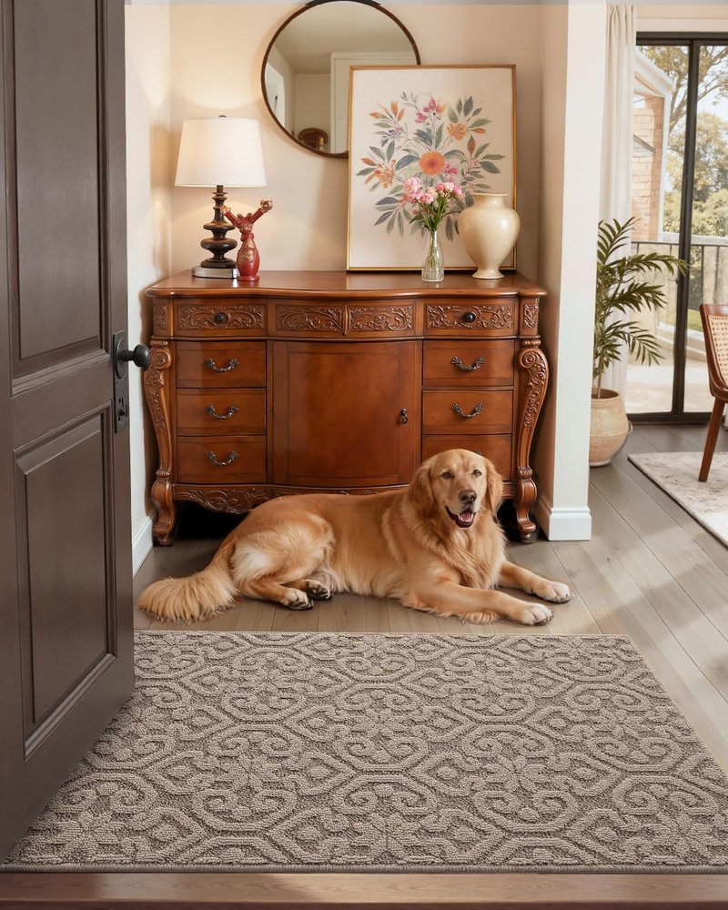 DEXI Front Door Mat Indoor Entrance, 3x5 Non Slip Entryway Doormat Dirt Trapper, Absorbent Entry Mats for Inside House, Patio, Porch, Light Beige