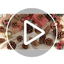 54 PCS Natural Pine Cones for Crafts Set Medium & Extra Large 1.2"-4"