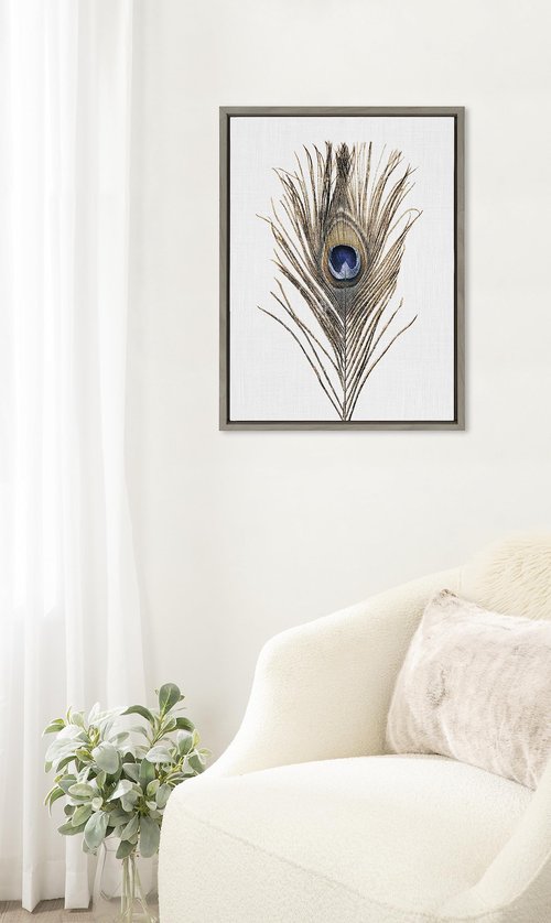 Kate and Laurel Sylvie Peacock Feather Framed Canvas Wall Art by Simon Te of Tai Prints; 18x24 Gray; Soft Animal Bird Feather Art for Wall