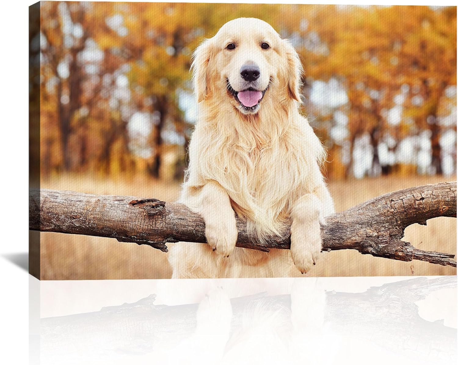Skiennix Custom Canvas Prints - Personalized Photo Wall Art for Family & Pets | Framed 14x11