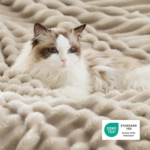 Bedsure Sherpa Throw Blanket - Super Soft Cozy Fleece for Winter | Plush Beige 50x60 Inches