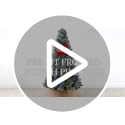 7.5ft Pre-Lit Frosted Scotch Pine Artificial Christmas Tree w/ LED Lights