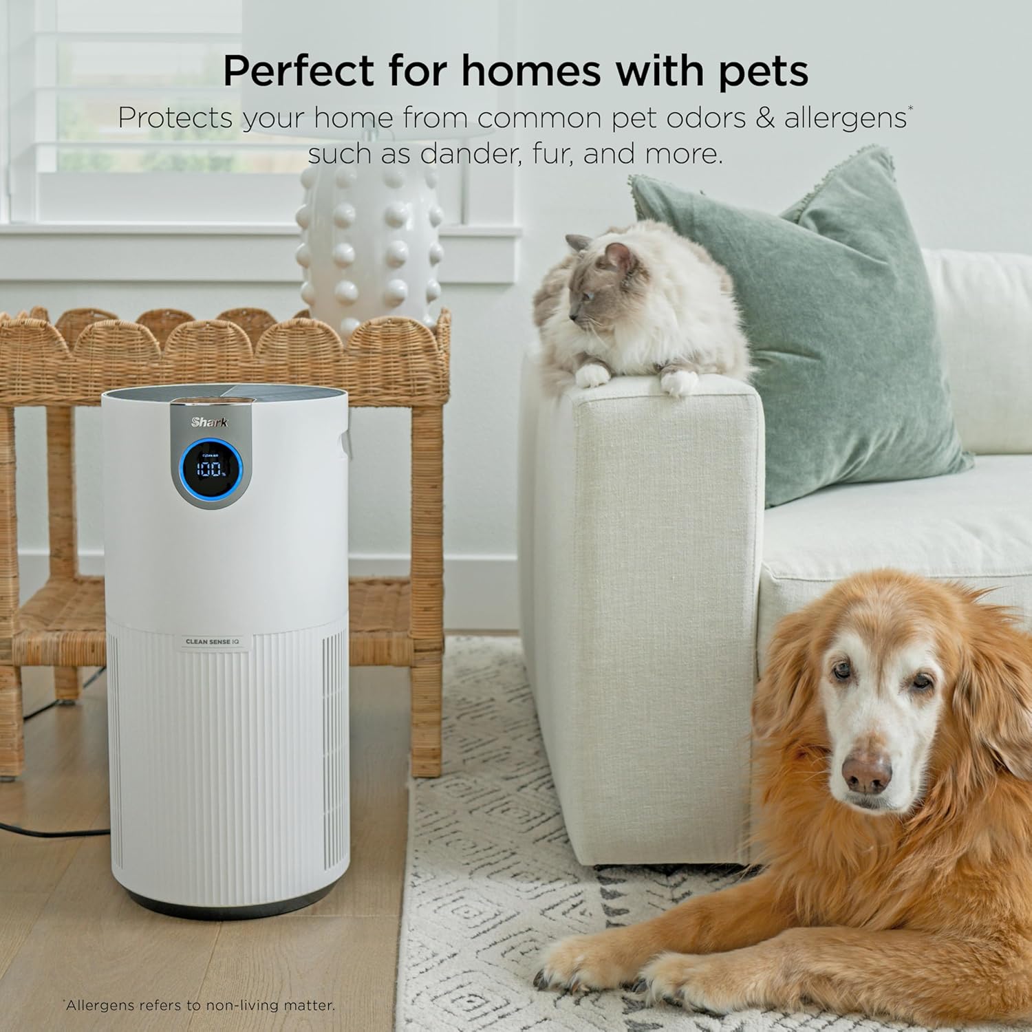 Shark Air Purifier - HEPA Filter with Clean Sense Technology | 1000 Sq Ft Coverage for Home & Kitchen