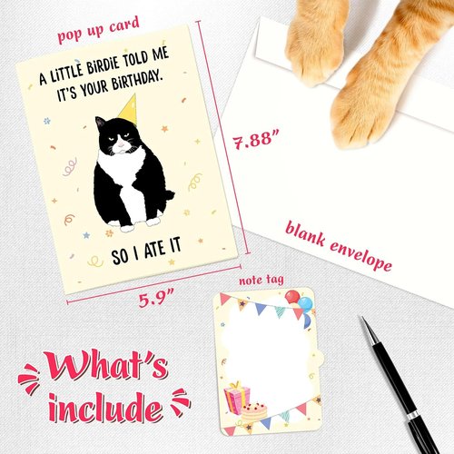 4BO Black Cat Pop-Up Birthday Card - Handmade 3D Greeting Card for Cat Lovers | Unique Fun Gift