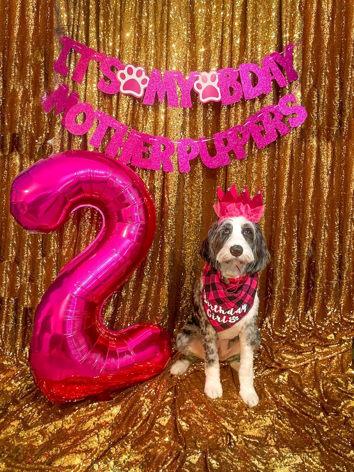 Regine Switzerland 40-Inch Number 8 Balloon - Rose Purple 8th Birthday Party Decorations & Supplies