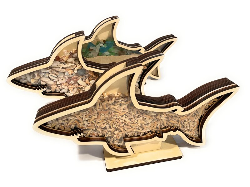 Shark Tooth Display Case XL 14” – Megalodon-Shaped Shark Teeth Holder for Collectors – Wooden Display for Fossilized Shark Teeth – Shark Tooth Holder Coastal Décor by Fossil King