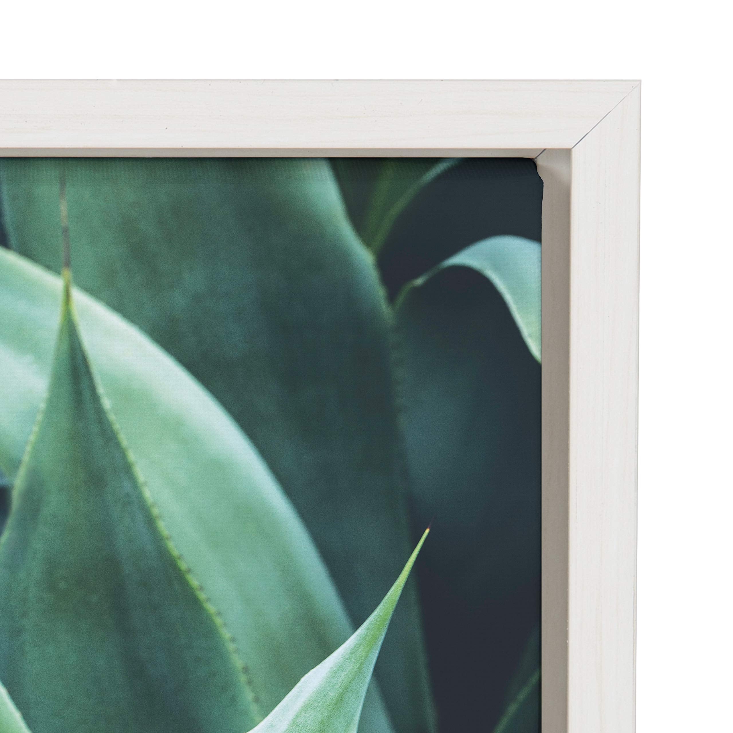 Kate and Laurel Sylvie Agave II Framed Canvas Wall Art by F2Images, 23x33 White, Modern Succulent Wall Decor
