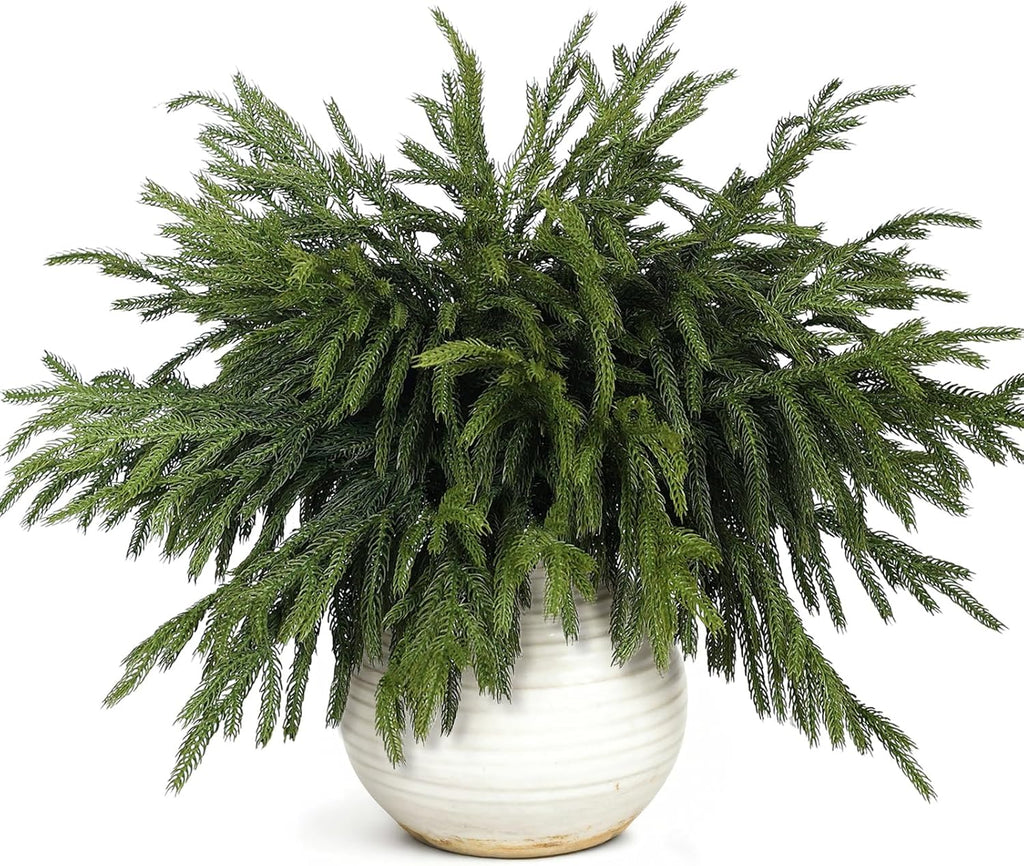 Norfolk Pine Branches - 20 Pcs Real Touch Artificial Greenery for DIY Crafts | 18" Faux Pine Picks