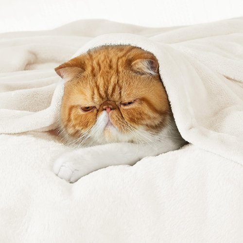 Bedsure Fleece Blanket - Soft, Lightweight, Plush King Size Cream Microfiber, 108x90 Inches