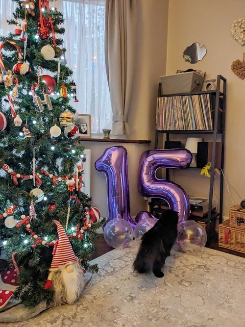 Foil Number 50 Balloons by [Brand Name] - 40 Inch Purple Birthday Party Decoration for Men & Women
