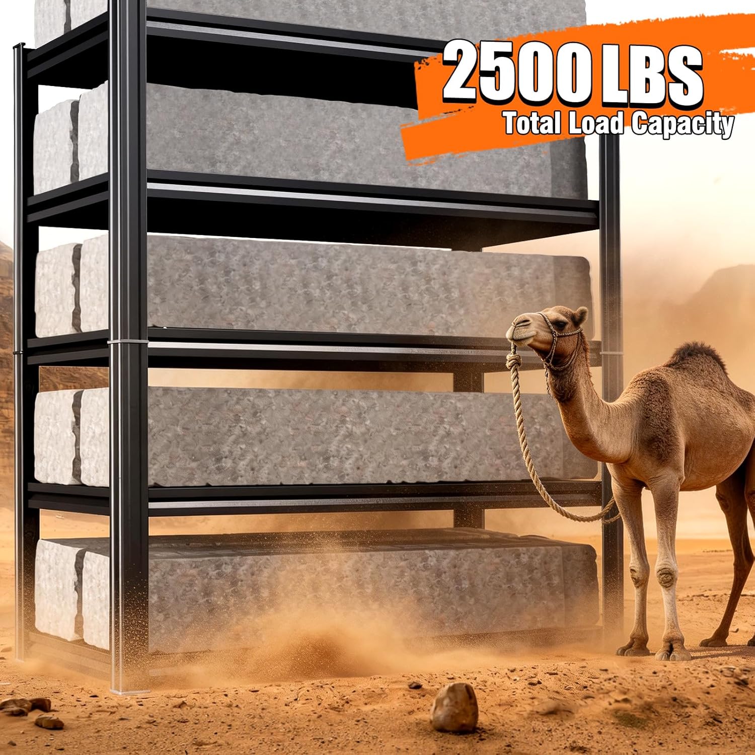 x46"x20