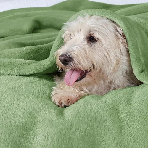 Bedsure GentleSoft Fleece Blanket - Cozy Lightweight Plush Twin Size Green 60x80 Inches for Bed & Travel