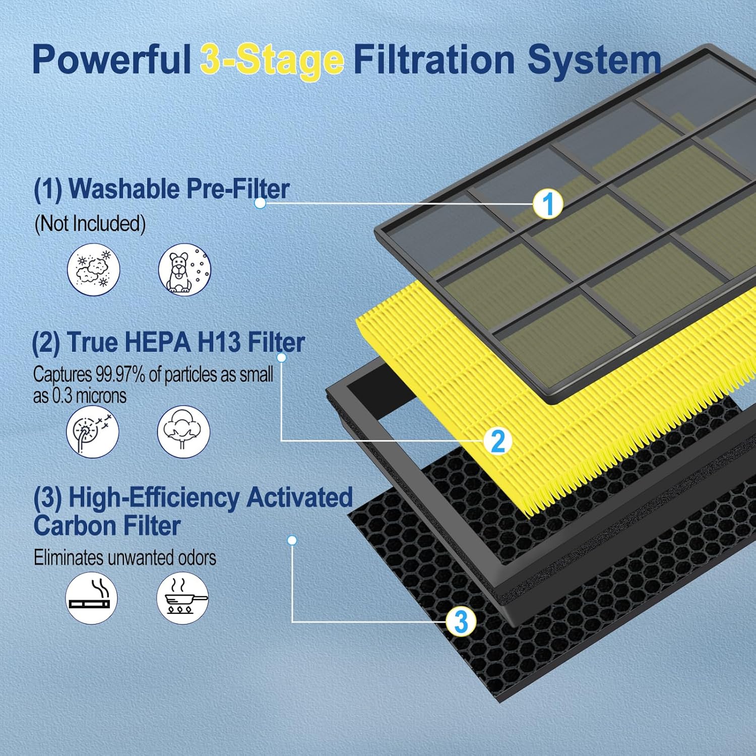 Vital 200S Replacement Filter - H13 True HEPA + Activated Carbon | 2-Pack for Easy Install & Long-Lasting Use