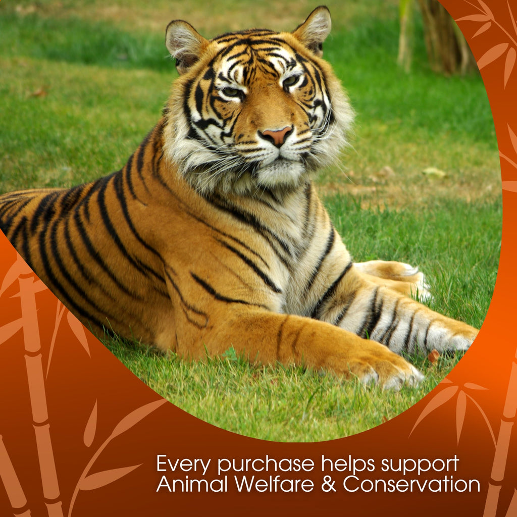 Tiger Spice Chai Tea Latte Mix, 1.24 Oz (Pack of 48), Single Serve Packets, Black Tea, Organic Spices, Dairy Free, Serve Hot or Cold, Just Add Water or Milk