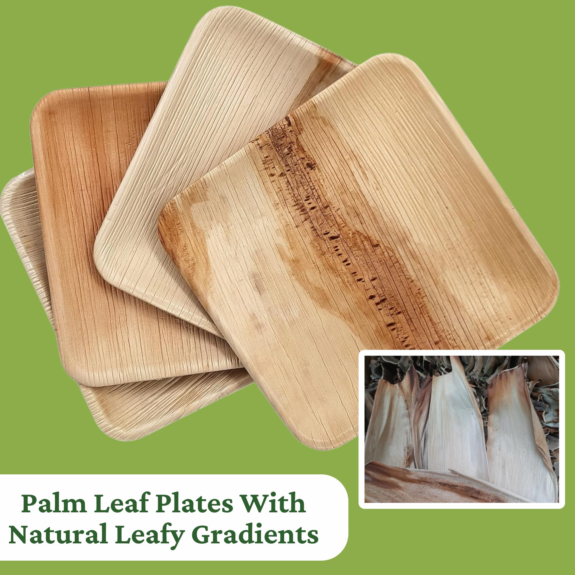 Dtocs Palm Leaf Plates 6 Inch Square (50) | Bamboo Look Disposable Look Appetizers, Camping, Dessert, Appetizer Plates, Mini Charcuterie Boards | Compostable Alternate to 6" Paper Plate