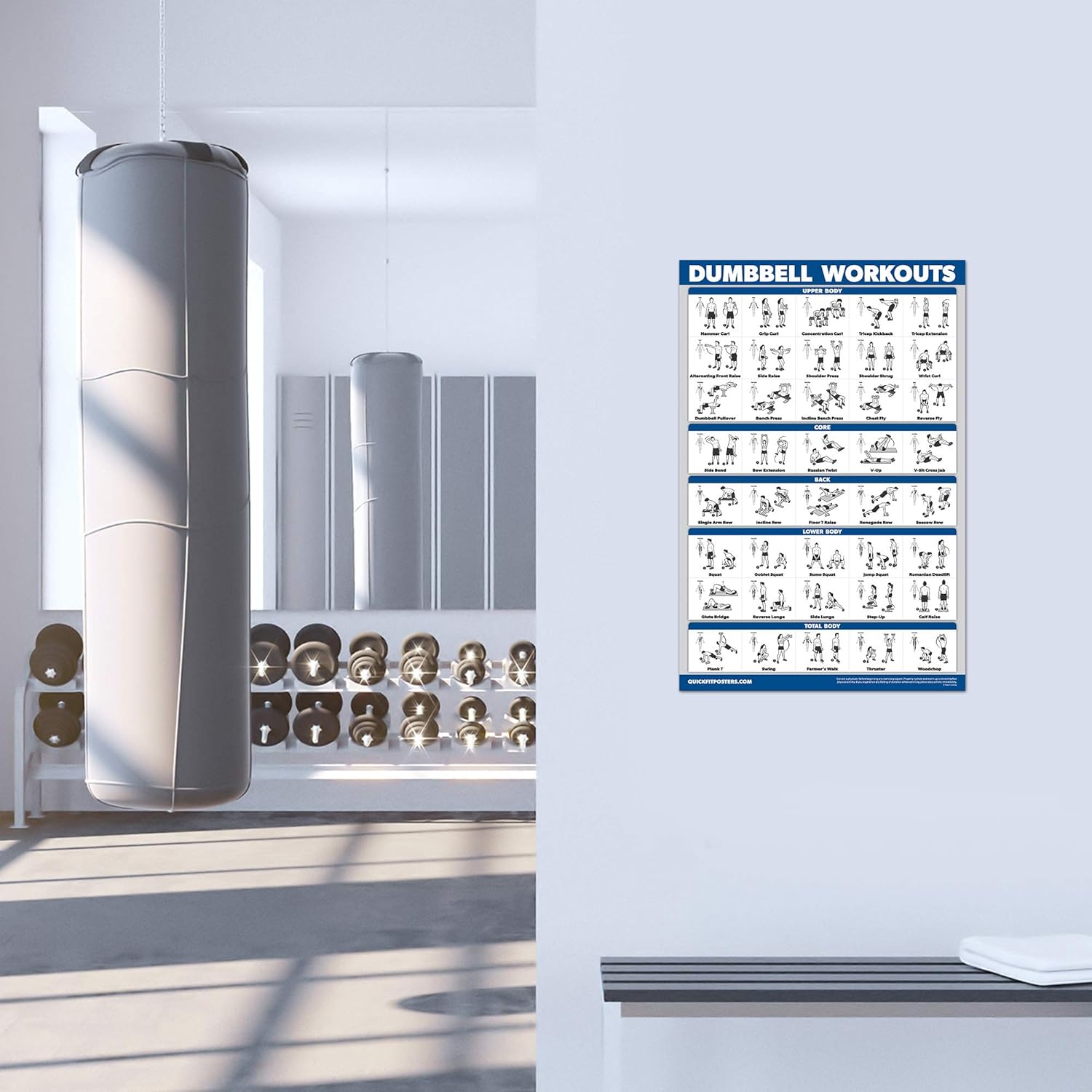 Palace Learning Dumbbell Workout Poster - Free Weight Bodybuilding Guide | Laminated Home Gym Chart - 18" x 24"