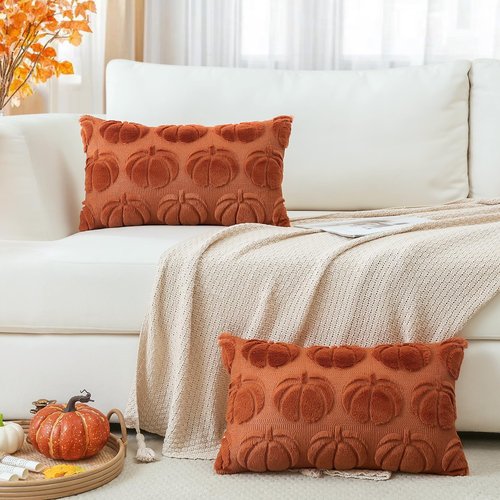 OTOSTAR Fall Pillow Covers Set of 2 Autumn Pumpkin Throw Pillow Covers for Sofa Couch Bed Living Room Soft Plush Short Wool Velvet Farmhouse Throw Pillow Covers for Halloween Rust 16x24 Inch