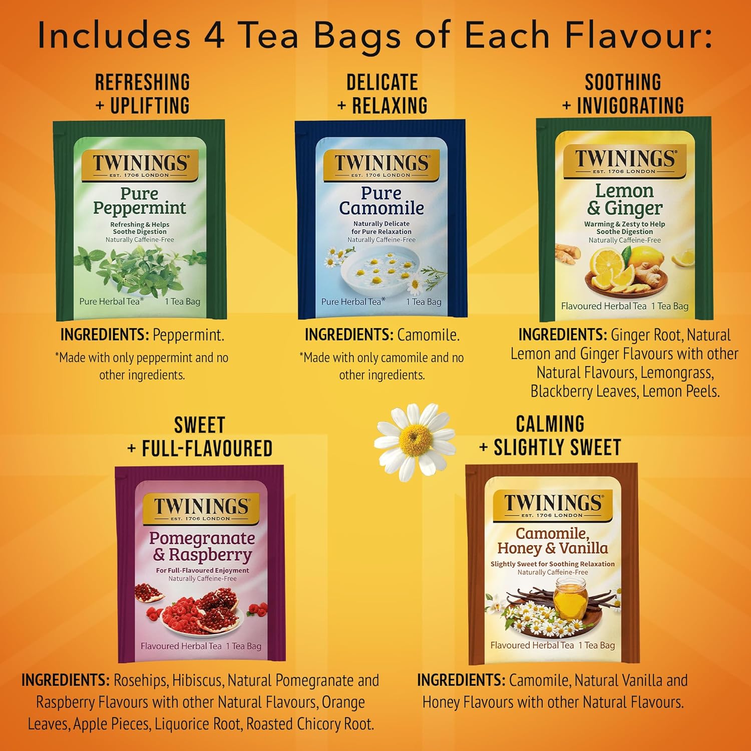 Twinings Herbal Tea Variety Pack - 20 Count (Pack of 6) | 5 Flavours, Naturally Caffeine-Free, Perfect for Hot or Iced Tea