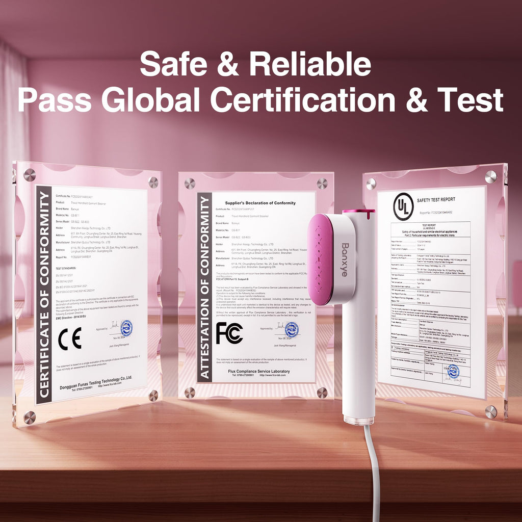 Portable Clothes Steamer, 100-240V Dual Voltage Garment Steamer, 1000W Handheld Steamer, 30s Fast Heat Up, 10 Minutes Continuous Steam, Ceramic Panel Travel Iron for Travel & Home Use