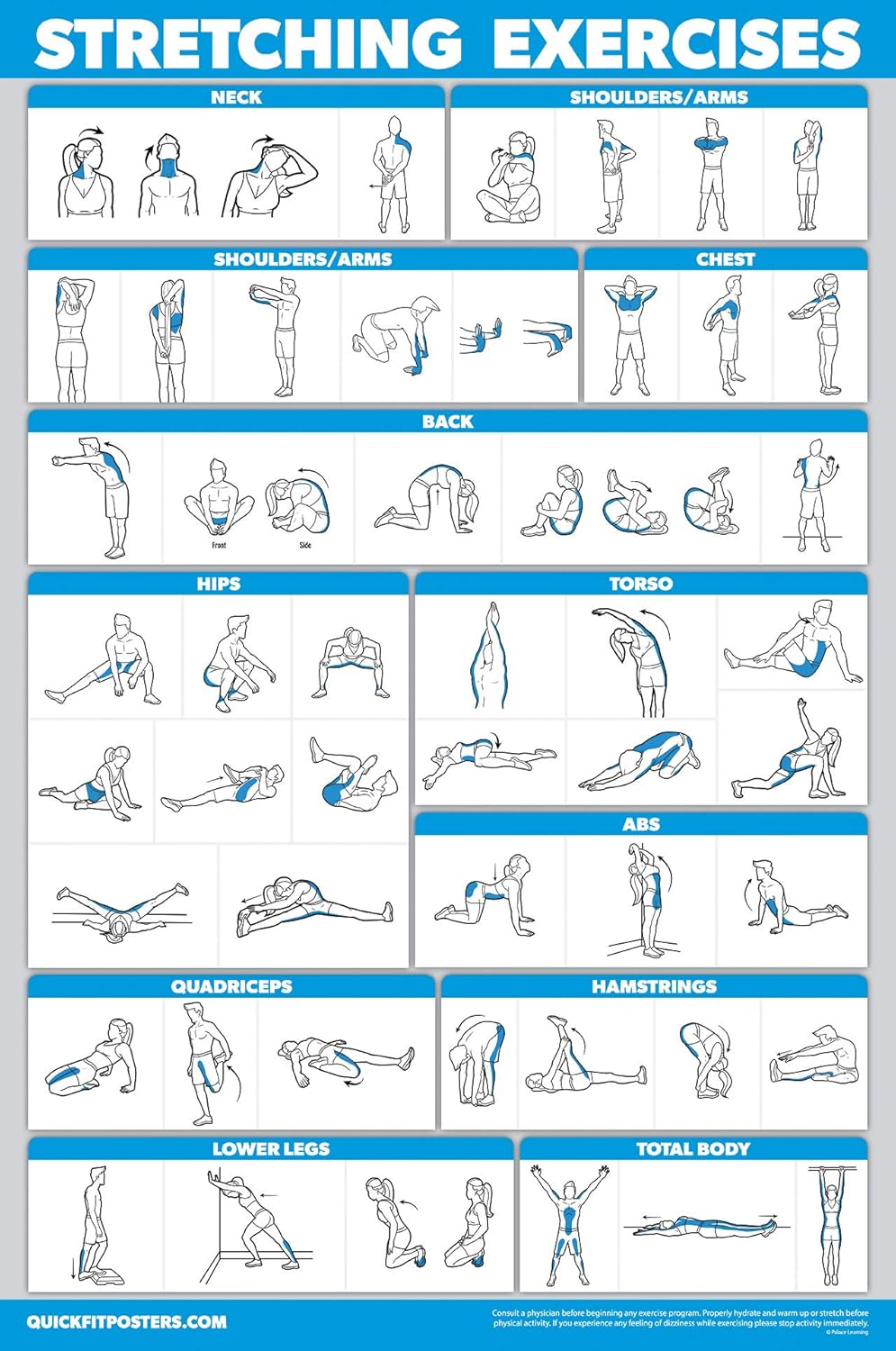 Palace Learning QuickFit Dumbbell & Bodyweight Workout Poster Set - Laminated 18" x 24" Charts (3 Pack)
