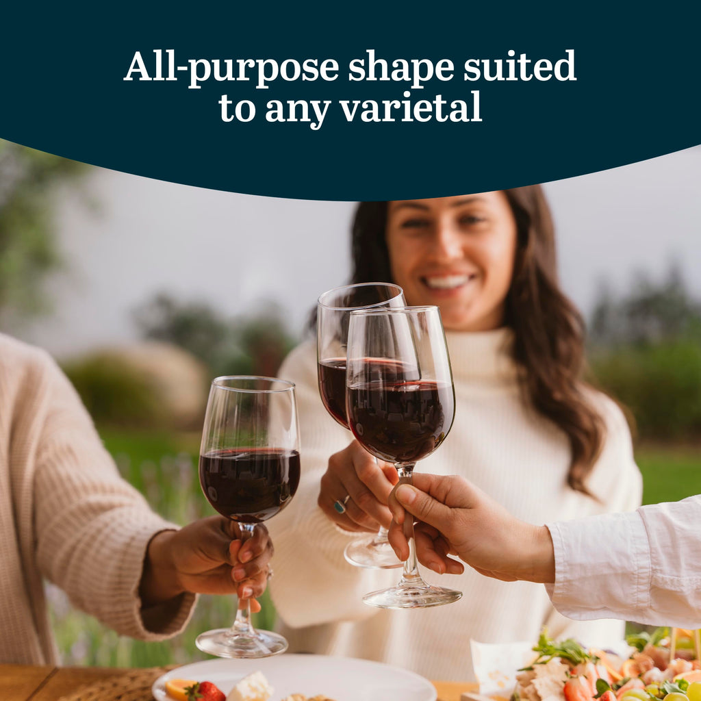 Libbey Vina Tall Wine Glasses Set, All Purpose Red and White Wine Glasses Set of 12, 16 Fluid Ounces, Professional Grade Glass Wine Glasses for Gatherings, Events