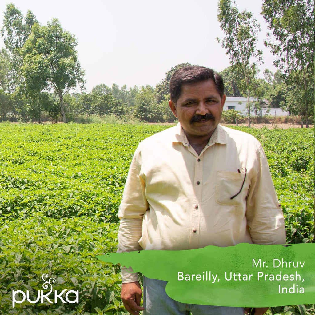 Pukka Organic Tea Bags, Three Mint Herbal Tea, Perfect for Cooling Refresh, 20 Count (Pack of 3) 60 Tea Bags