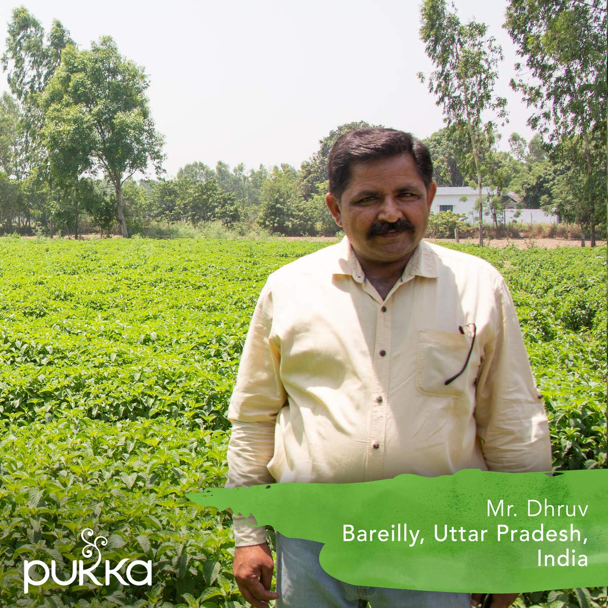 Pukka Organic Tea Bags, Three Mint Herbal Tea, Perfect for Cooling Refresh, 20 Count (Pack of 3) 60 Tea Bags