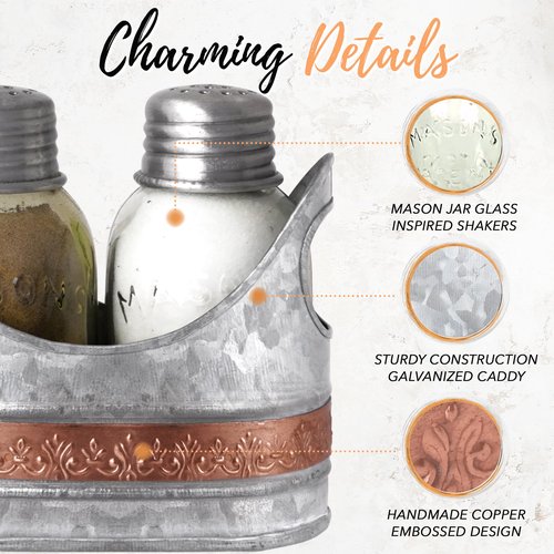 Autumn Alley Rustic Farmhouse Salt and Pepper Shaker Set - Adorable Galvanized Caddy - Cute Glass Mini Mason Jars for Country Decor