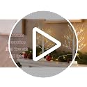 2-Pack 2 FT Lighted Birch Trees with LED Lights for Tabletop Decor