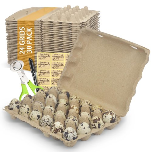 HavRixor Quail Egg Cartons 30 Pack- Holds Up to Two Dozen 24 Counts Eggs Bulk Blank Container Empty Cardboard Thickness Natural Pulp Egg Boxes, with Stickers