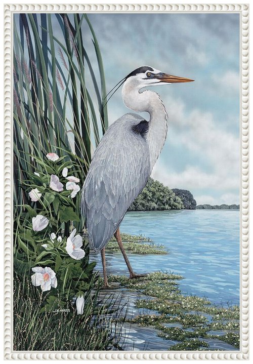 Amanti Art Framed Canvas Wall Art 23x16 Great Blue Heron by James Harris, Framed Wall Art Canvas, Animals Artwork, Traditional Decor, Medium Poster Painting for Living Room, Bedroom, Bathroom