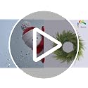 20-Inch Faux Norfolk Pine Christmas Wreath for Front Door and Holiday Decor