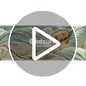 Bedsure White Queen Duvet Cover Set - 3 Piece Soft Microfiber Bedding