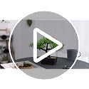 8" Artificial Bonsai Tree - Faux Plant for Zen Decor