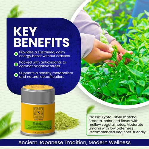 Oodle Coffee Organic Ceremonial Grade Matcha Powder 30g - Japanese Green Tea, First Harvest, Stone Ground - Hot/Iced Latte, Vegan, Gluten-Free, No Bitterness