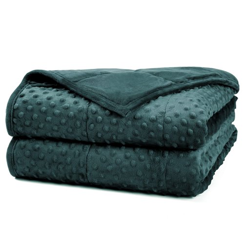 Alomidds Weighted Blanket, Luxury Velvet Weighted Blankets for Kids,Warm and Breathable Soft and Comfort Minky, Cute Heavy Blanket with Premium Glass Beads (41"x60" 7LBS, Green)