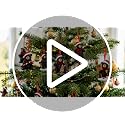 Syhood 24 Pcs Black Bear Christmas Ornaments Set - 12 Styles, Holiday Decor