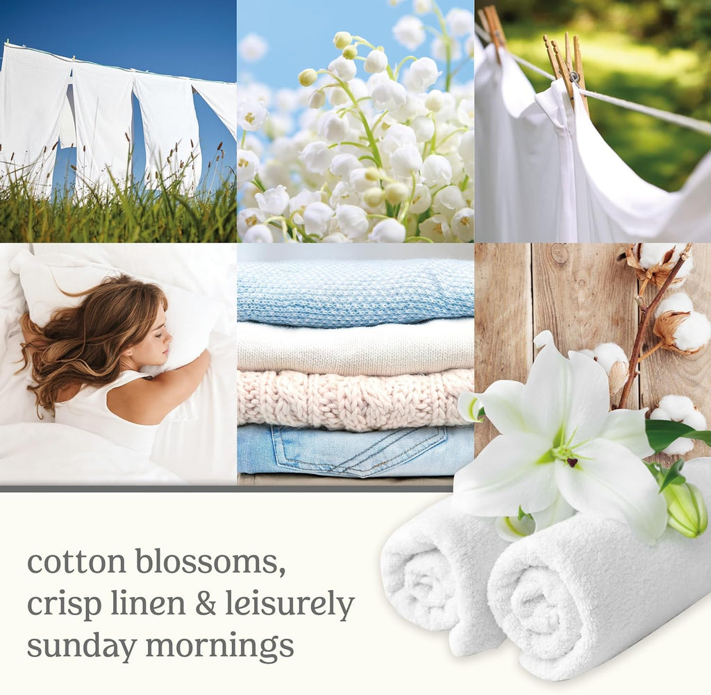 Yankee Candle ScentPlug Refill - Long Lasting Clean Cotton Scented Oil for Air Fresheners | Pack of 2