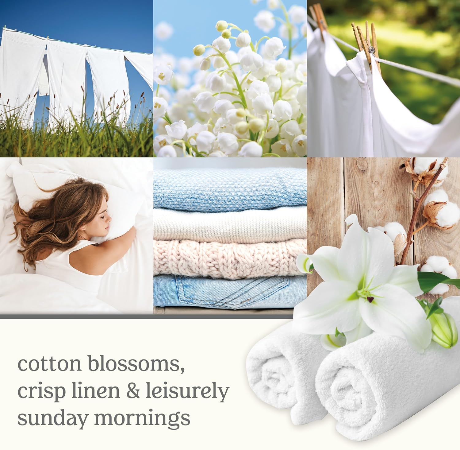 Yankee Candle ScentPlug Refill - Long Lasting Clean Cotton Scented Oil for Air Fresheners | Pack of 2