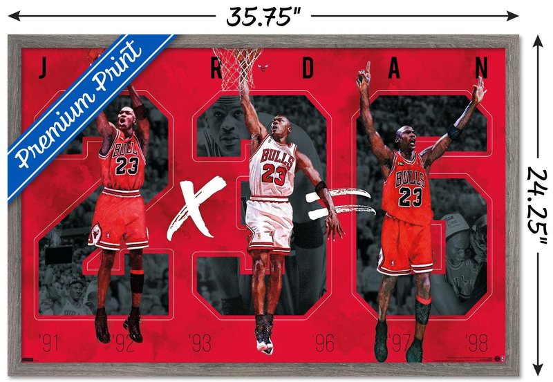 Trends International Michael Jordan - Six Wall Poster, 22.375" x 34", Barnwood Framed Version