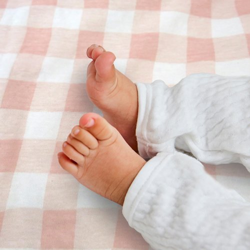 HonestBaby Reversible Baby Blanket